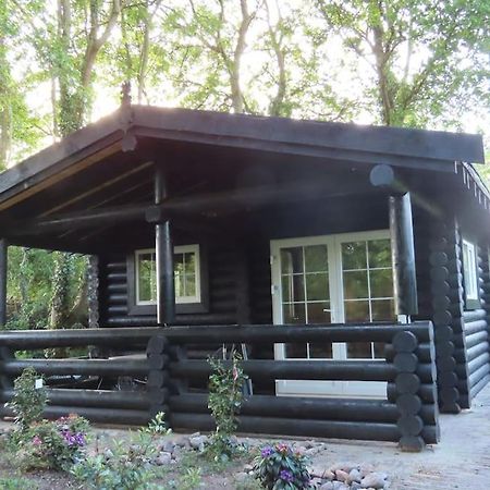 Knusse En Gezellige Blokhut De Bijenstal Villa Dedemsvaart Luaran gambar